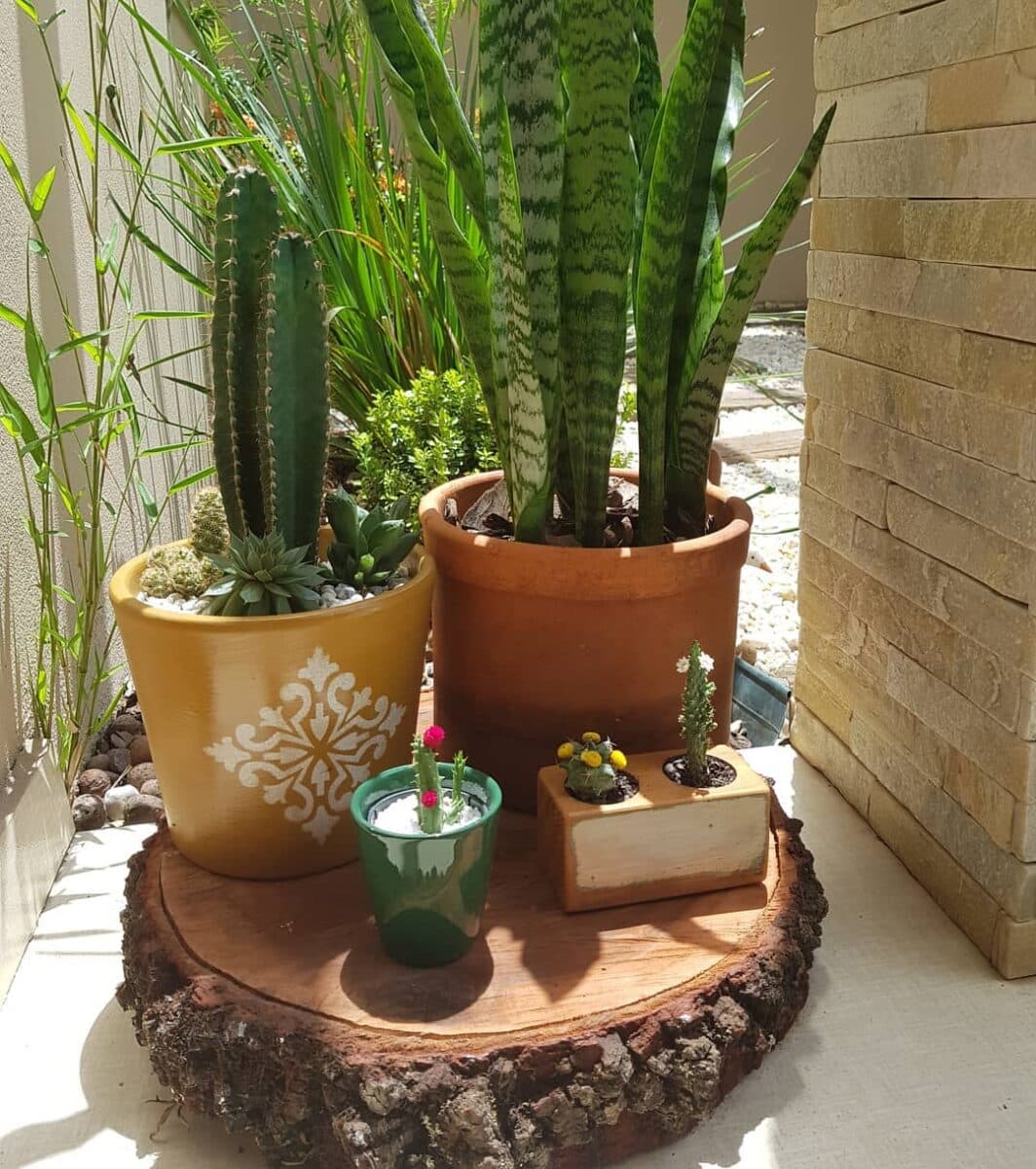 Transforme seu Jardim: Ideias de Enfeites que Vão Encantar Seu Espaço! 10 Empress of Dirt