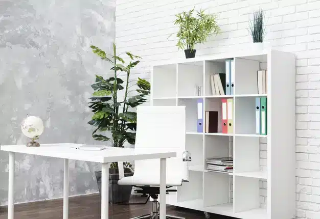 Como Criar um Home Office Confortável: Dicas Práticas para Profissionais em Casa 2 Imagem com plantas que podem ser usadas no ambiente de trabalho