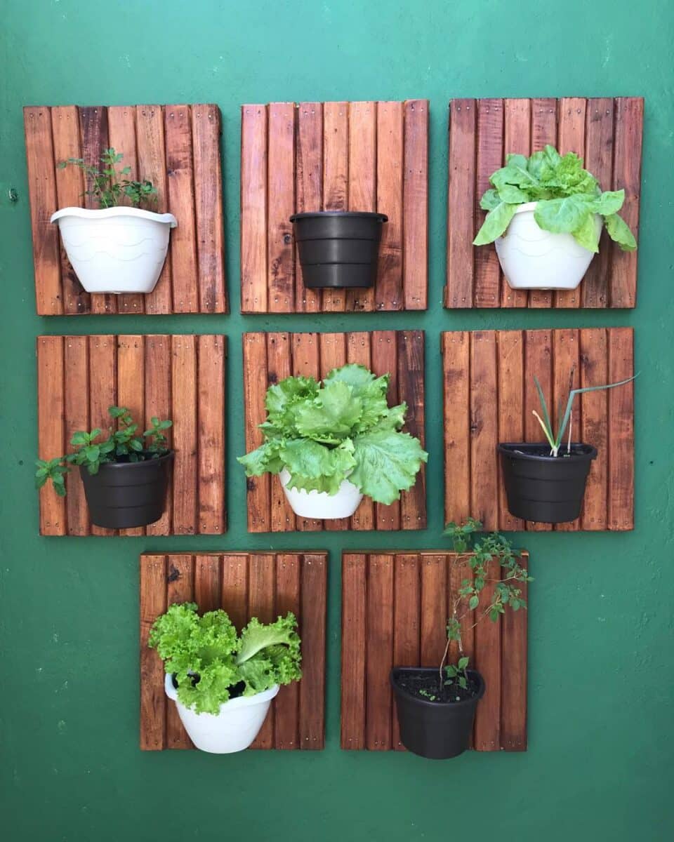 Transforme sua casa em um paraíso orgânico: 35 ideias incríveis para cultivar sua própria horta suspensa! 3 Foto de horta suspensa 1 - 1