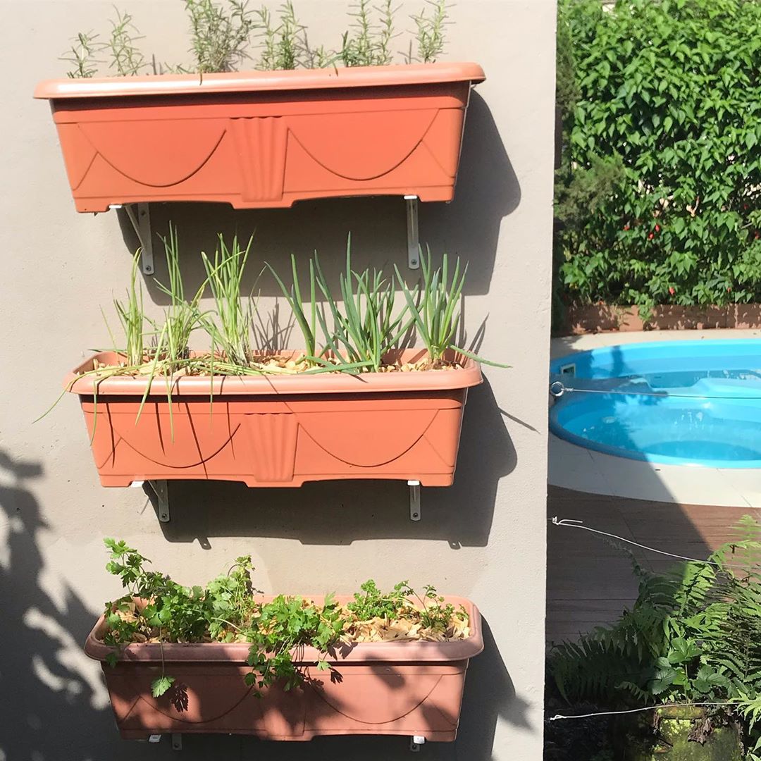 Transforme sua casa em um paraíso orgânico: 35 ideias incríveis para cultivar sua própria horta suspensa! 5 Foto de horta suspensa 2 - 2