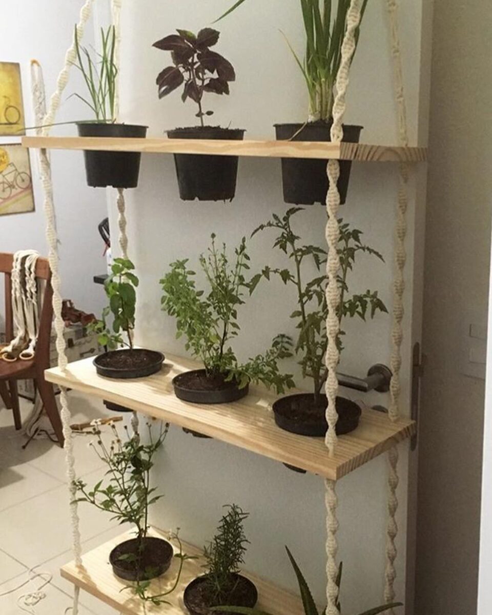 Transforme sua casa em um paraíso orgânico: 35 ideias incríveis para cultivar sua própria horta suspensa! 7 Foto de horta suspensa 3 - 3