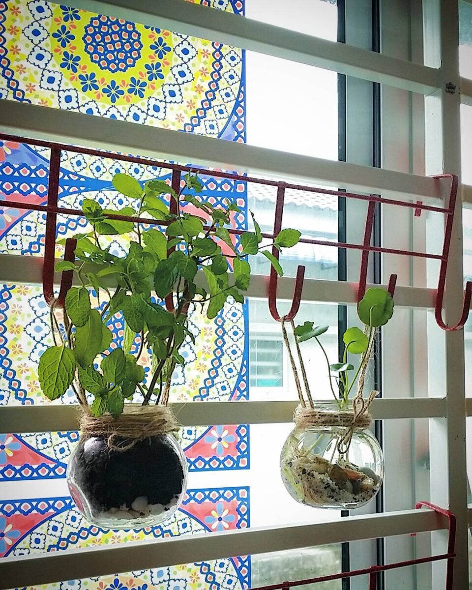 Transforme sua casa em um paraíso orgânico: 35 ideias incríveis para cultivar sua própria horta suspensa! 1 Foto de horta suspensa 6 - 6