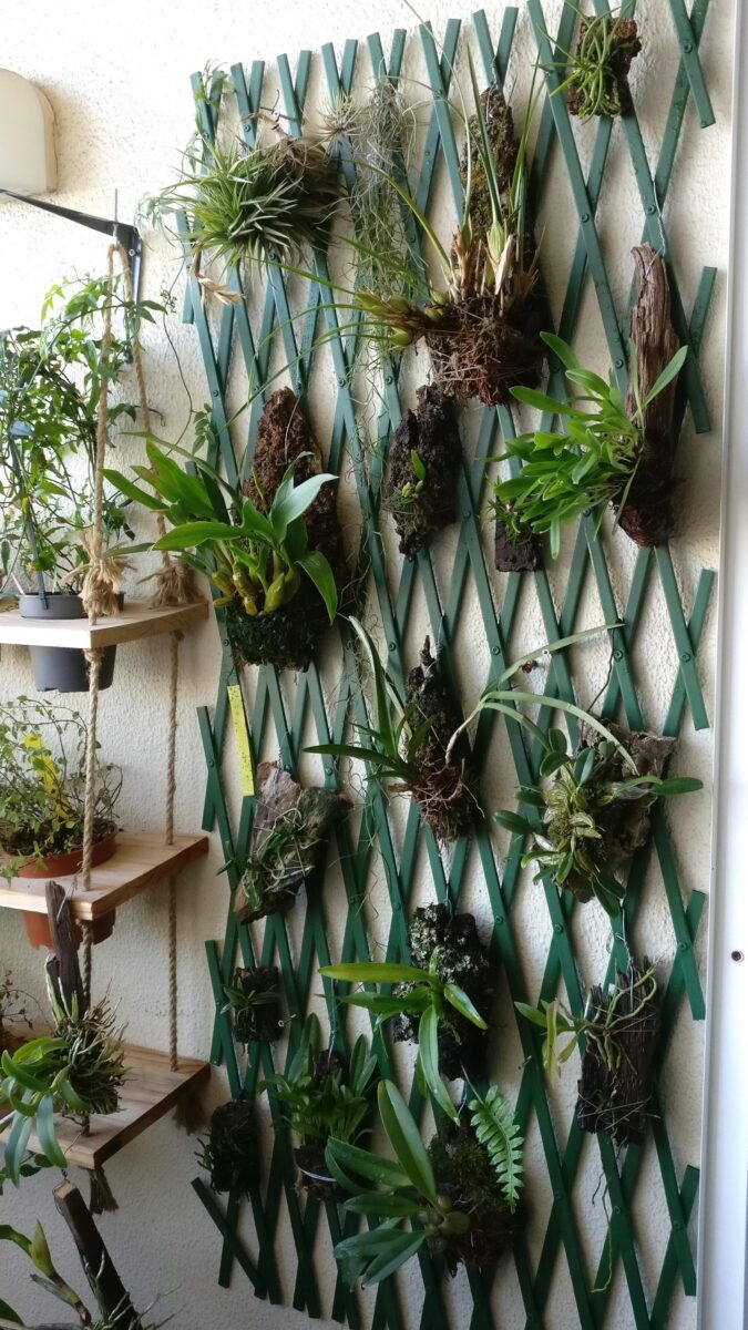 Segredos dos Paisagistas: 6 Truques Incríveis para Ampliar a Ilusão de um Quintal Estreito! 3 Jardim vertical com cultivo de orquídeas