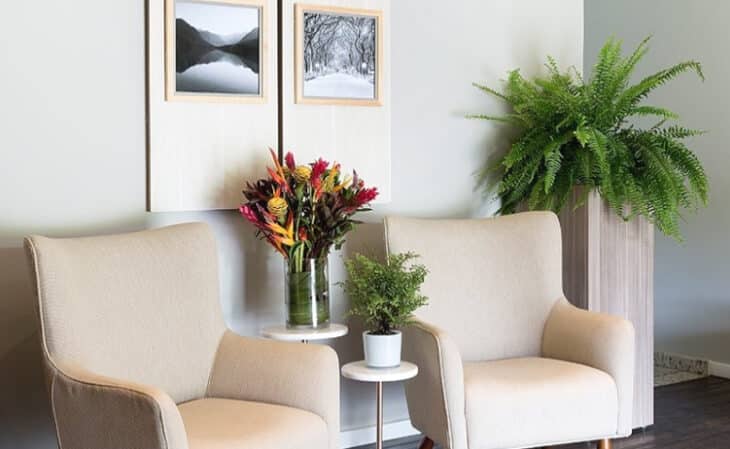 Transforme sua Sala: Dicas Surpreendentes para Usar Plantas Artificiais! 5 Foto de plantas artificiais para sala 40 - 1