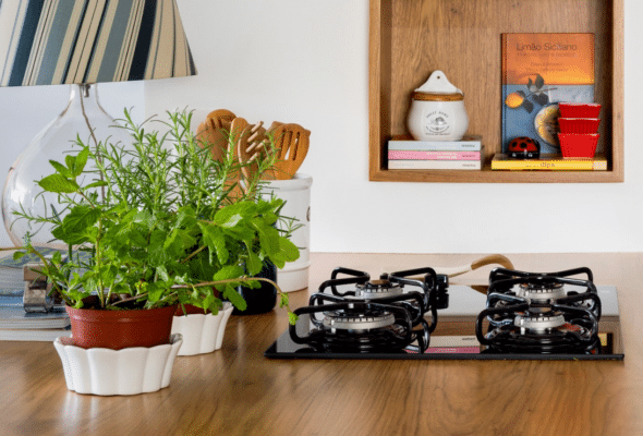 Dicas de Decoração e Organização para Todos os Ambientes 3 AS MOSCAS VÃO SUMIR DA SUA CASA COM O CULTIVO DESSAS PLANTAS