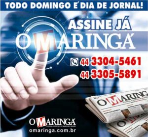 Descubra Como Escolher Pedras Decorativas e Transformar Seu Jardim em um Paraíso Visual! 10 Screenshot de uma seção do site com informações.