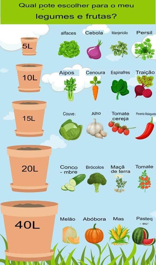 As 10 Melhores Dicas para Escolher e Cuidar de Plantas Ornamentais 4 Plantas Ornamentais: Como Escolher e Cuidar