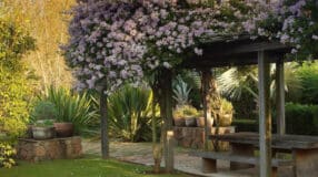 Transforme sua Casa: 60 Ideias Encantadoras com Floreiras de Madeira que Você Precisa Conhecer! 7 Paisagismo