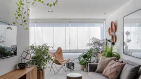 Transforme sua Casa: 60 Ideias Encantadoras com Floreiras de Madeira que Você Precisa Conhecer! 9 Plantas fáceis de cuidar