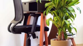 Transforme seu Home Office com Estas 6 Dicas Práticas e Econômicas! 5 Imagem de um espaço com plantas para escritório, trazendo a natureza para o ambiente de trabalho.