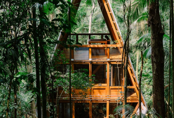 Casa imersa na floresta, um refúgio em Paraty que combina harmonia com a natureza.
