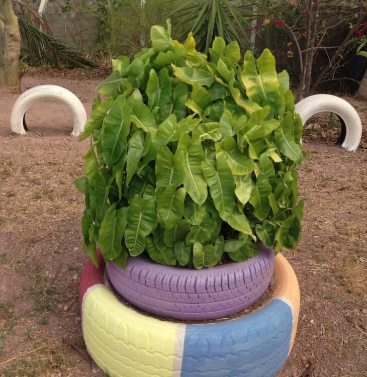 Transforme Seu Jardim: 55 Ideias Incríveis de Jardinagem com Pneus! 1 Jardim com pneus 02, uma abordagem colorida.