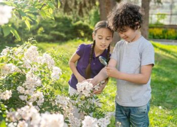 Clúsia-porcelana: Como Essa Planta Pode Embelezar Seu Jardim 1 Em resumo, a Clúsia-porcelana é uma opção de destaque para aqueles que desejam introduzir um elemento de sofisticação natural em seus espaços verdes.