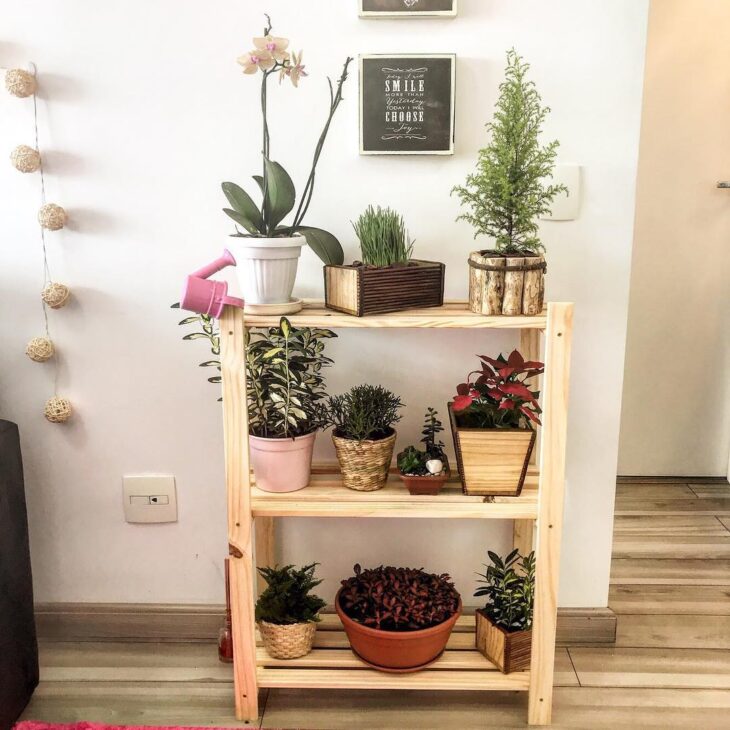Ideias e Tutoriais para Criar Prateleiras de Plantas que Alegram o Seu Espaço Verde 10 Prateleiras altas são ótimas para plantas pendentes.