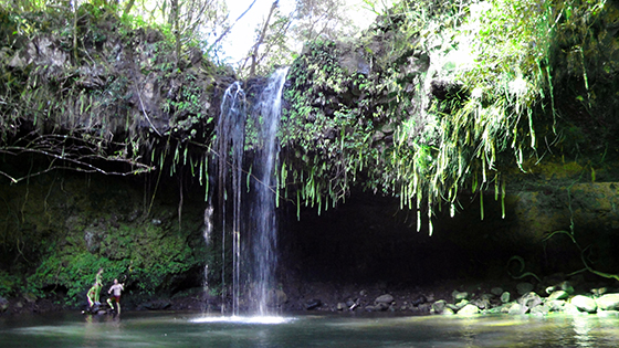 Motivos que Levam as Pessoas a Trabalhar 5 Uma bela paisagem tropical do Havai.