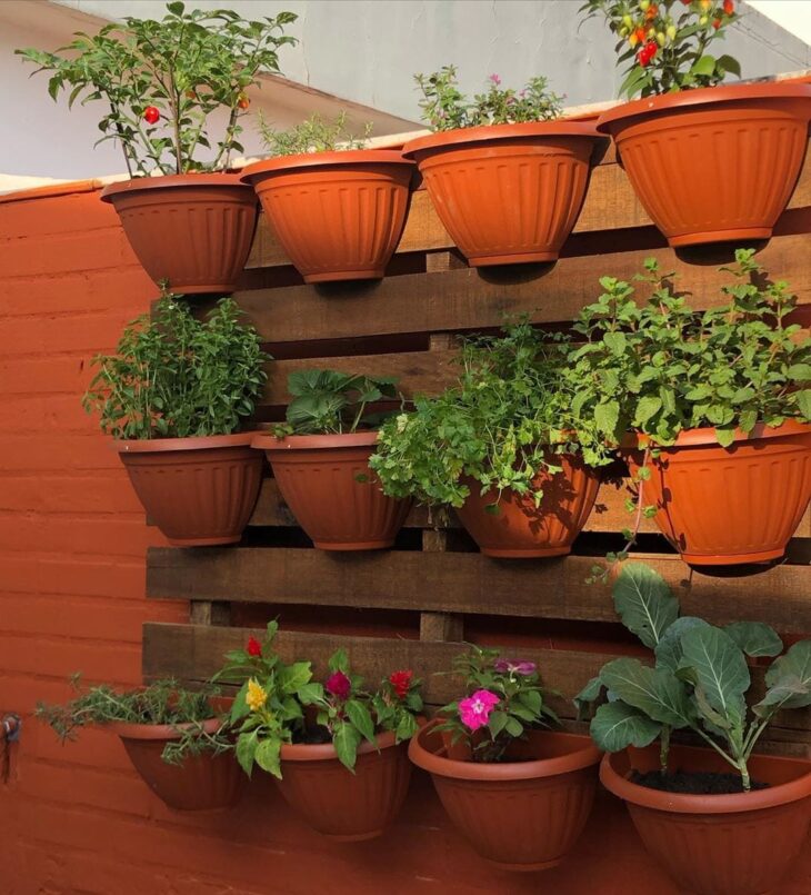 Modelo de floreira de parede de madeira, facilitando o cultivo de plantas.
