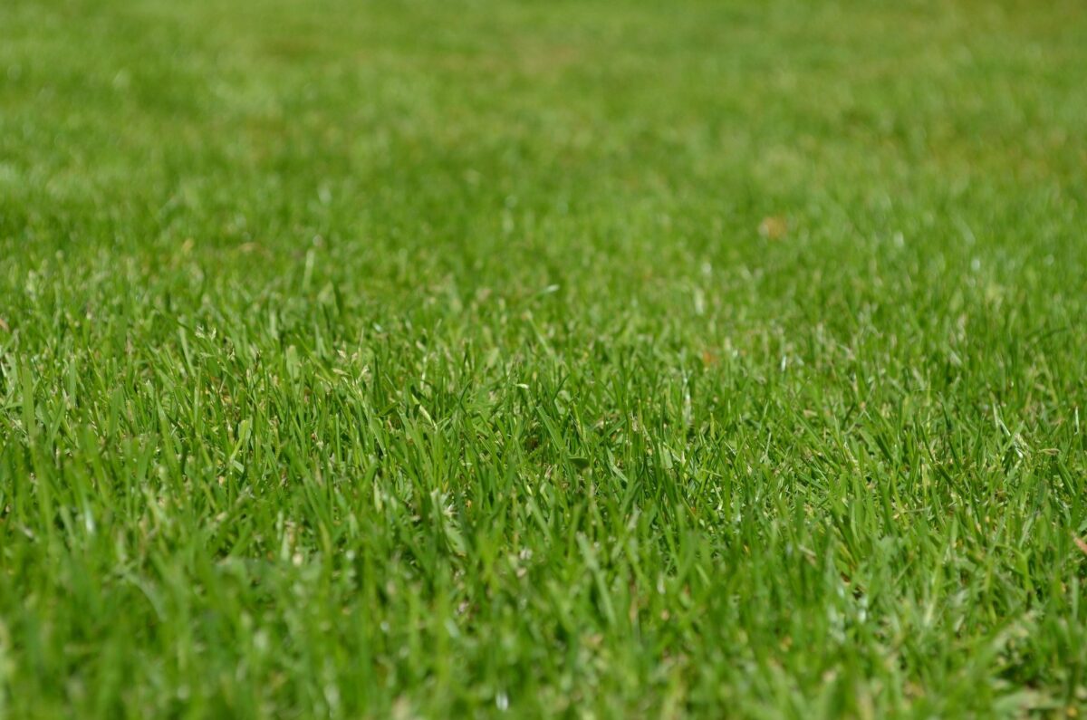 Dicas para Escolher a Grama Sintética Ideal para Sua Casa ou Empresa 2 Grama sintética ganha popularidade como alternativa ao gramado natural. Este tipo de gramado oferece uma aparência verde atraente, sem a necessidade de manutenção como cortar, regar ou fertilizar.