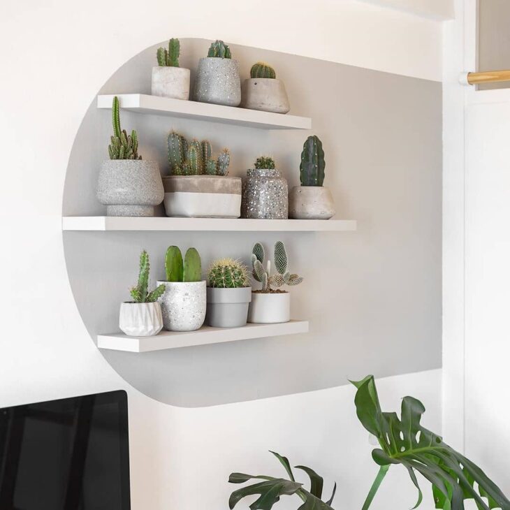 Ideias e Tutoriais para Criar Prateleiras Verdes em sua Casa 5 Um conjunto de prateleiras supermoderno