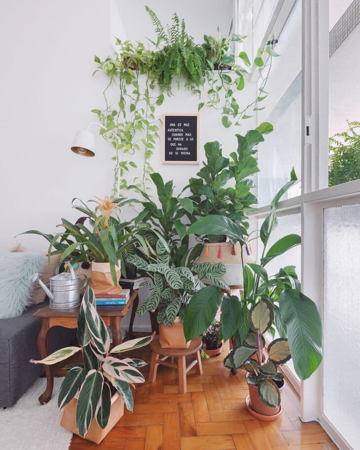 Dicas para Transformar sua Casa em uma Urban Jungle Aconchegante 1 Ambientes com cores neutras com plantas